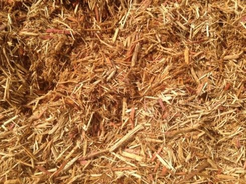 Cedar Mulch
